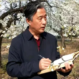 Wu Jingyan